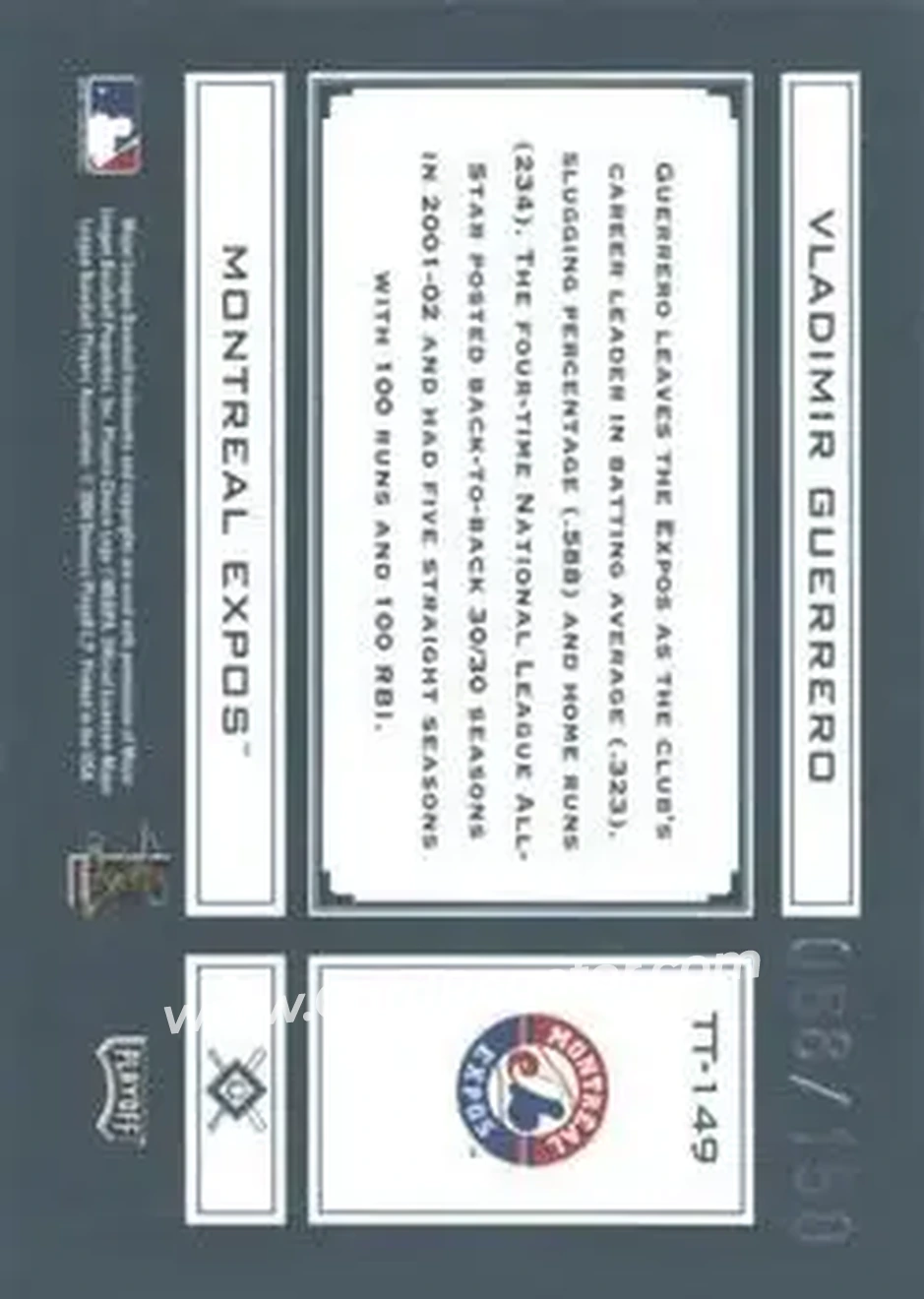 2004 Playoff Absolute Memorabilia - Tools of the Trade Green #TT-149 - Vladimir Guerrero - Montreal Expos - Back