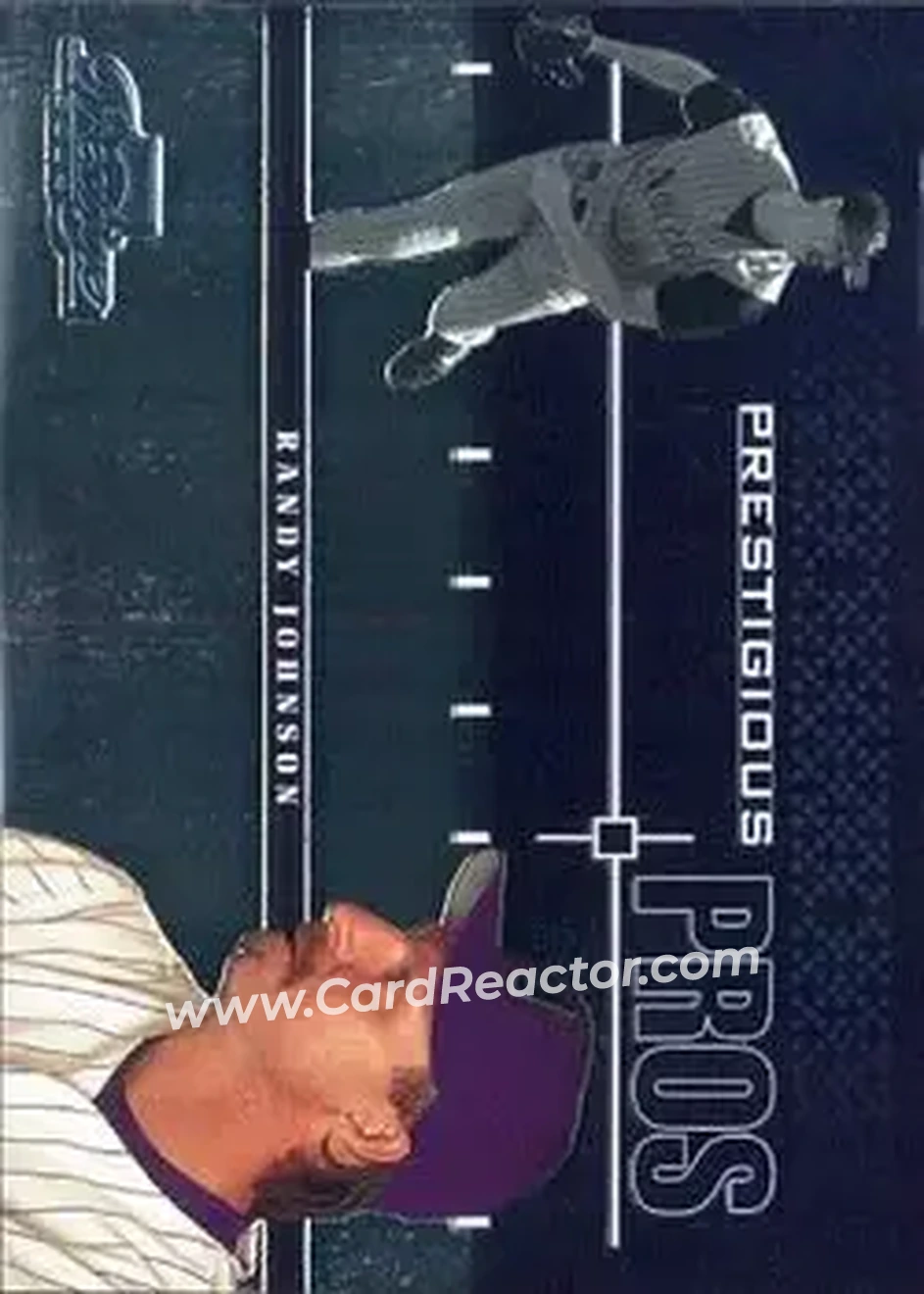 2004 Playoff Prestige - Prestigious Pros #PP-7 - Randy Johnson - Arizona Diamondbacks - Front