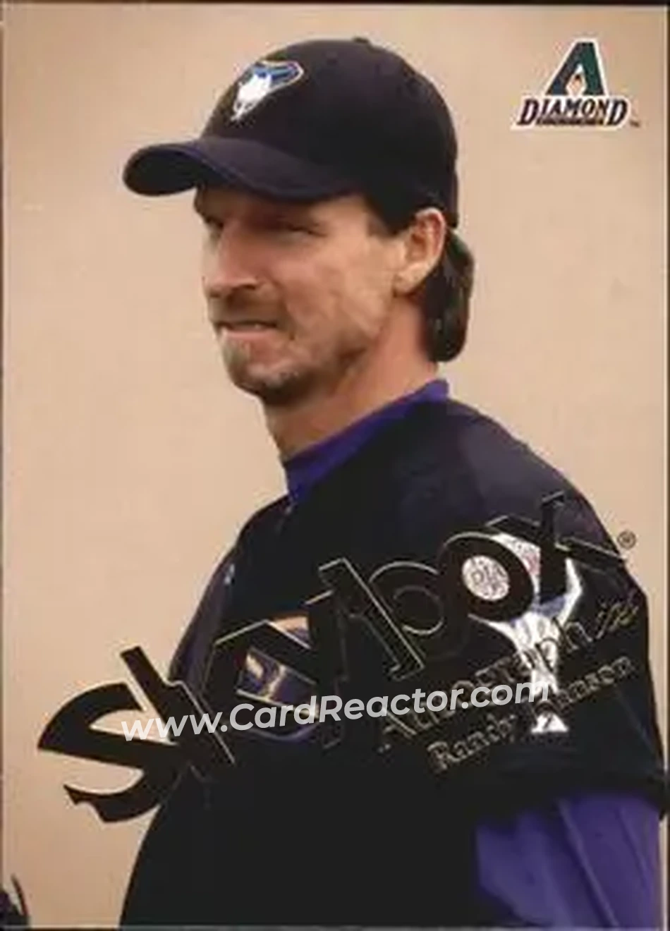 2004 SkyBox Autographics #49 - Randy Johnson - Arizona Diamondbacks - Front
