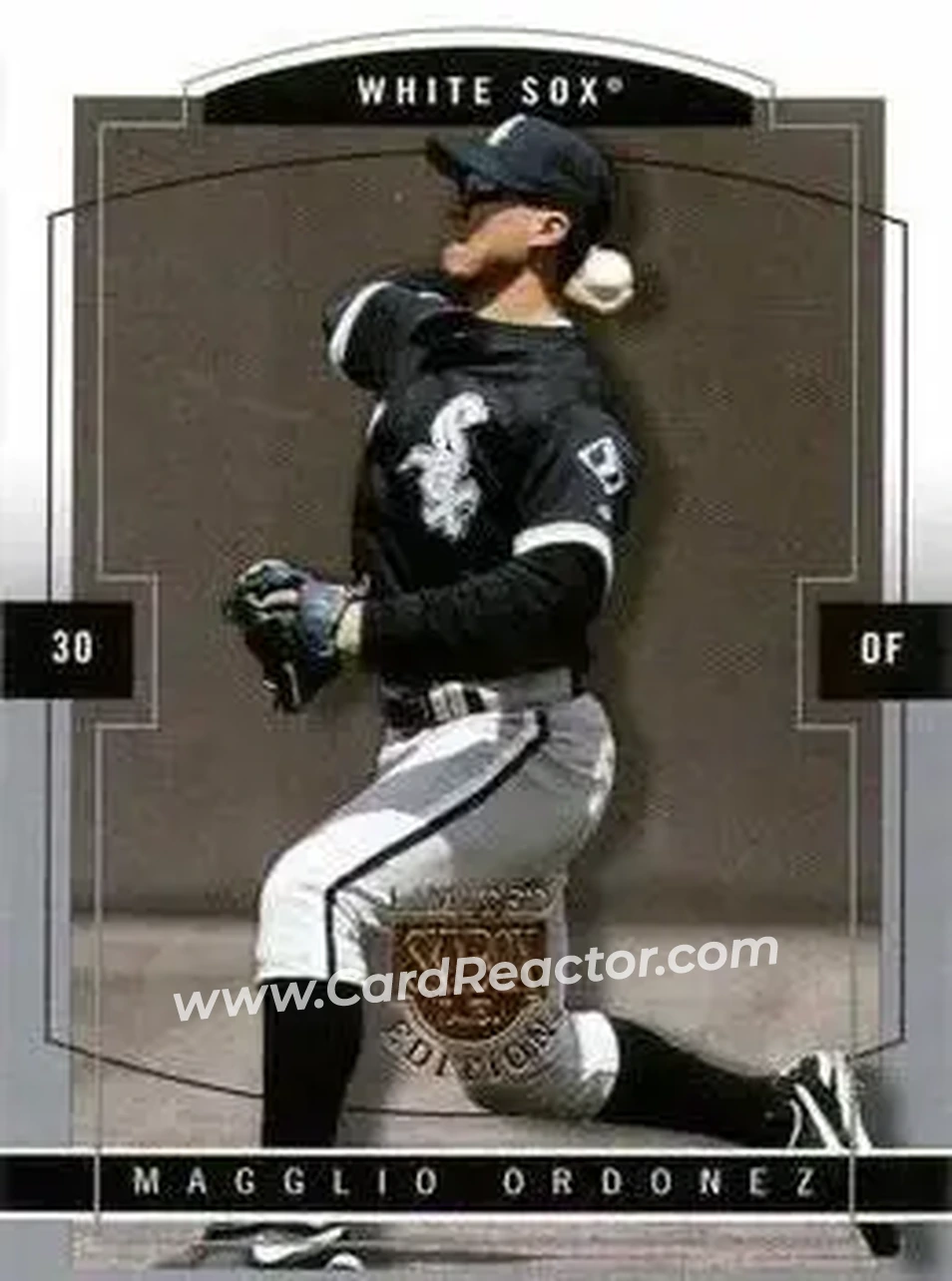 2004 SkyBox LE #16 - Magglio Ordonez - Chicago White Sox - Front 2004 SkyBox LE #16 - Magglio Ordonez - Chicago White Sox - Front