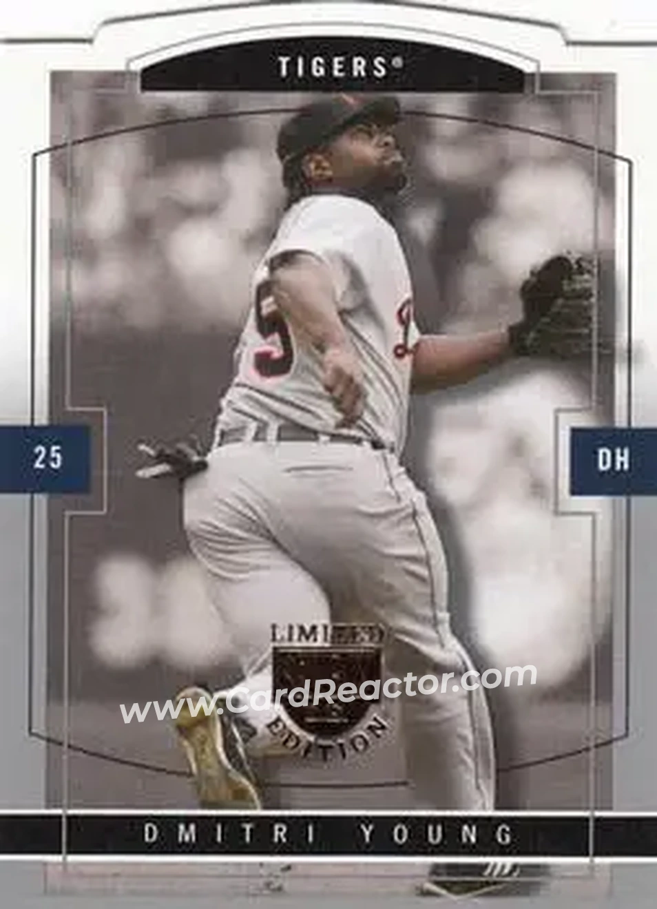 2004 SkyBox LE #36 - Dmitri Young - Detroit Tigers - Front