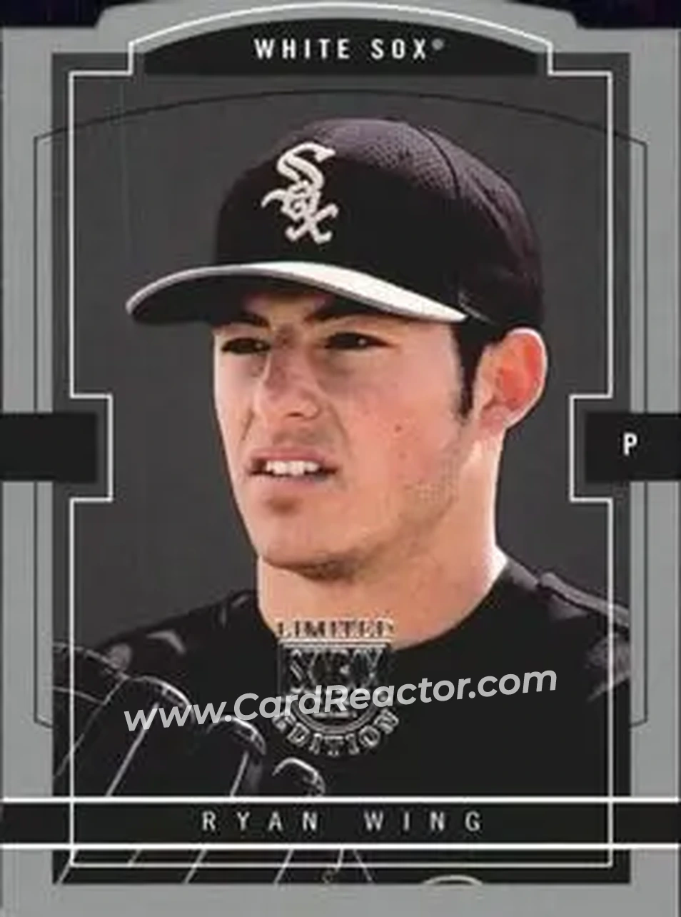 2004 SkyBox LE #121 - Ryan Wing - Chicago White Sox - Front