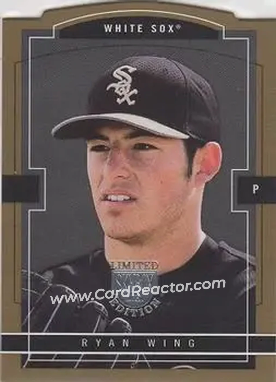 2004 SkyBox LE - Gold Proof #121 - Ryan Wing - Chicago White Sox - Front 2004 SkyBox LE - Gold Proof #121 - Ryan Wing - Chicago White Sox - Front
