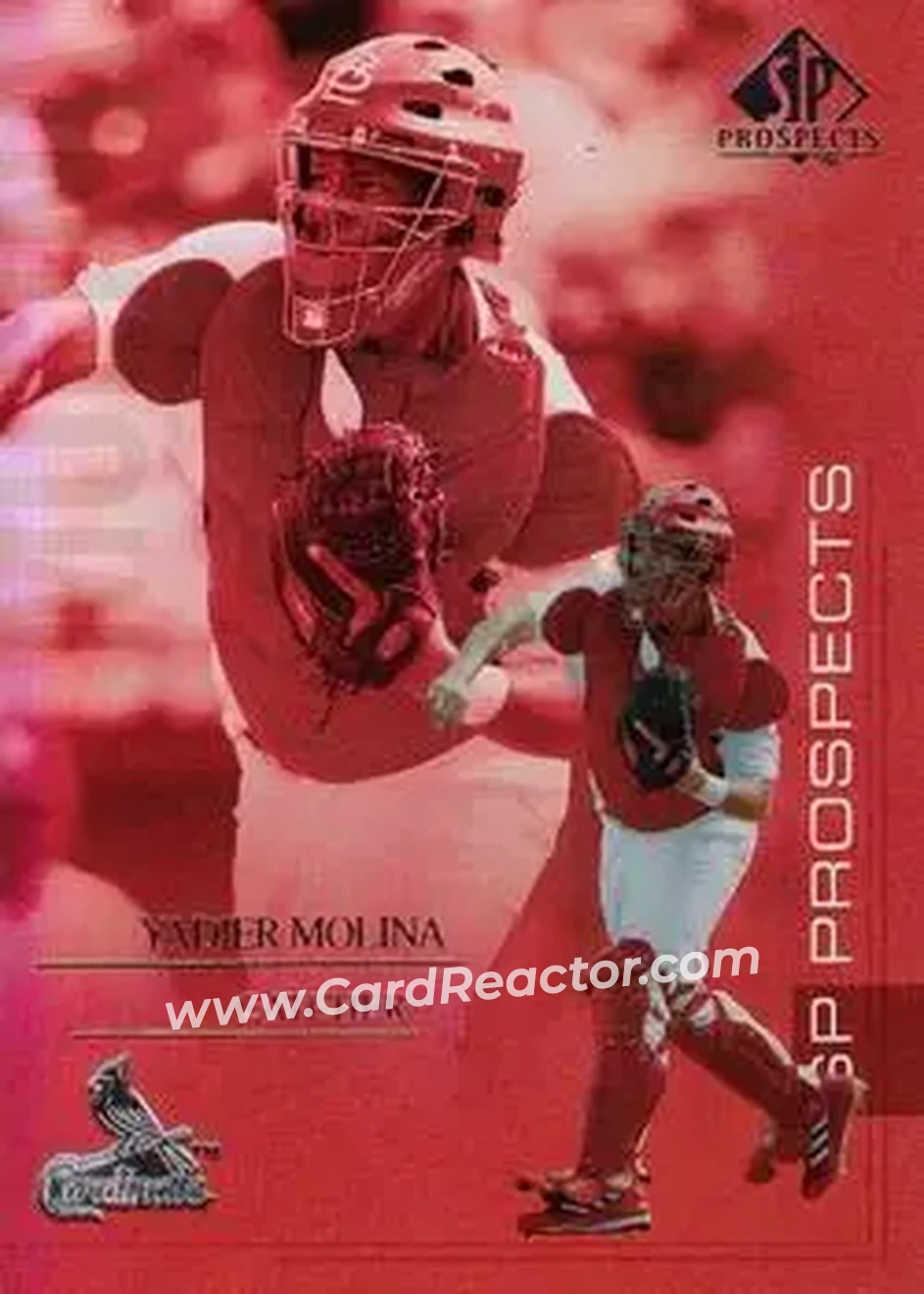 2004 SP Prospects #140 - Yadier Molina - St. Louis Cardinals - Front