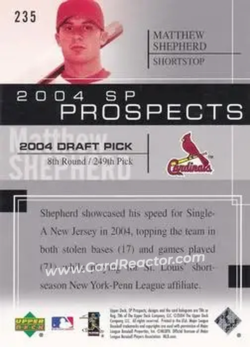 2004 SP Prospects #235 - Matthew Shepherd - St. Louis Cardinals - Back 2004 SP Prospects #235 - Matthew Shepherd - St. Louis Cardinals - Back