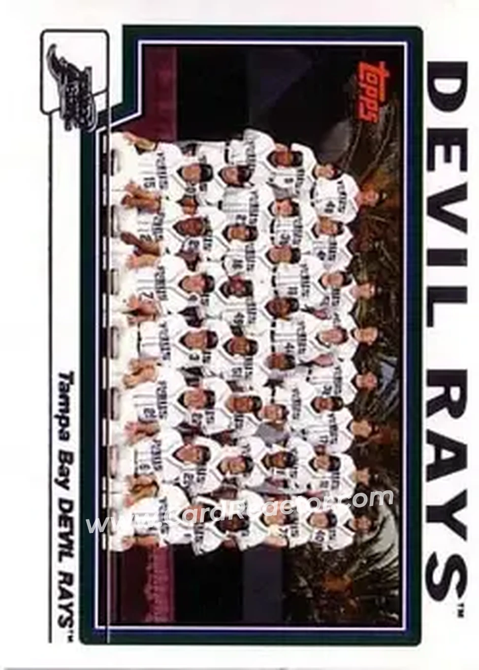 2004 Topps #665 - Tampa Bay Devil Rays - Tampa Bay Devil Rays - Front
