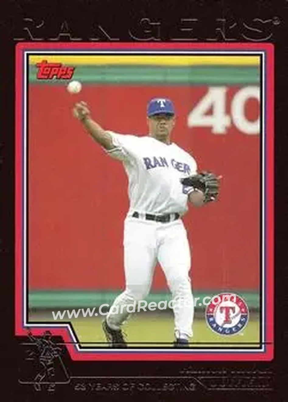 2004 Topps - Black #576 - Ramon Nivar - Texas Rangers - Front