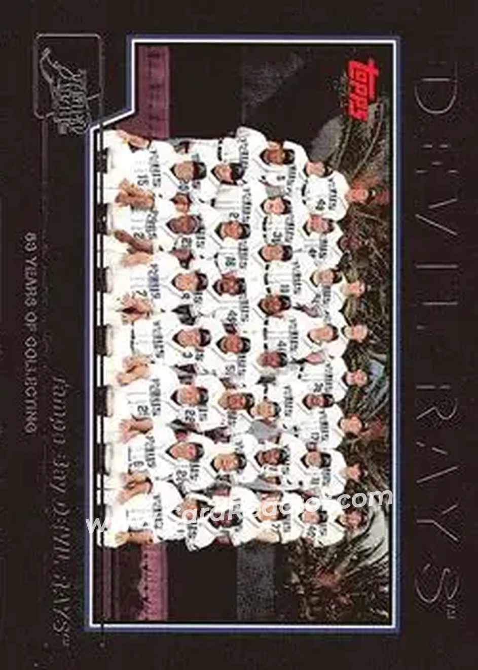 2004 Topps - Black #665 - Tampa Bay Devil Rays - Tampa Bay Devil Rays - Front