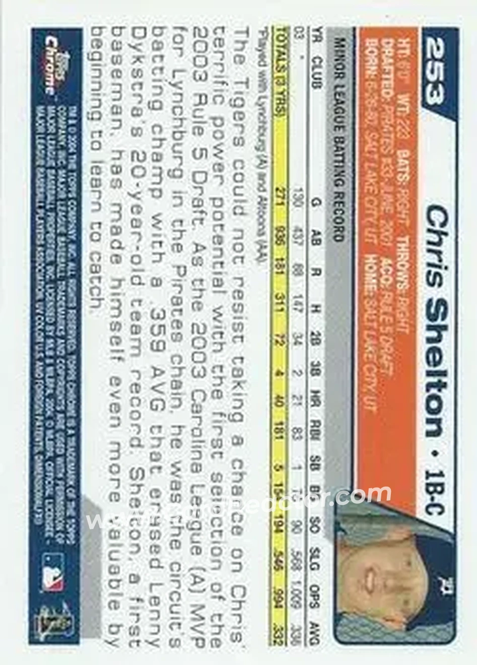 2004 Topps Chrome #253 - Chris Shelton - Detroit Tigers - Back
