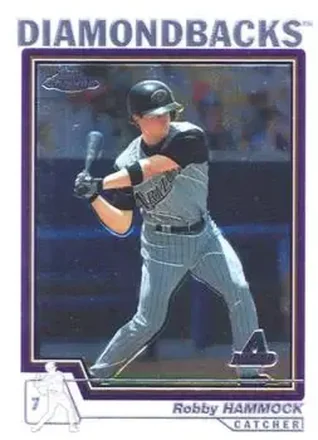 2004 Topps Chrome #285 - Robby Hammock - Arizona Diamondbacks