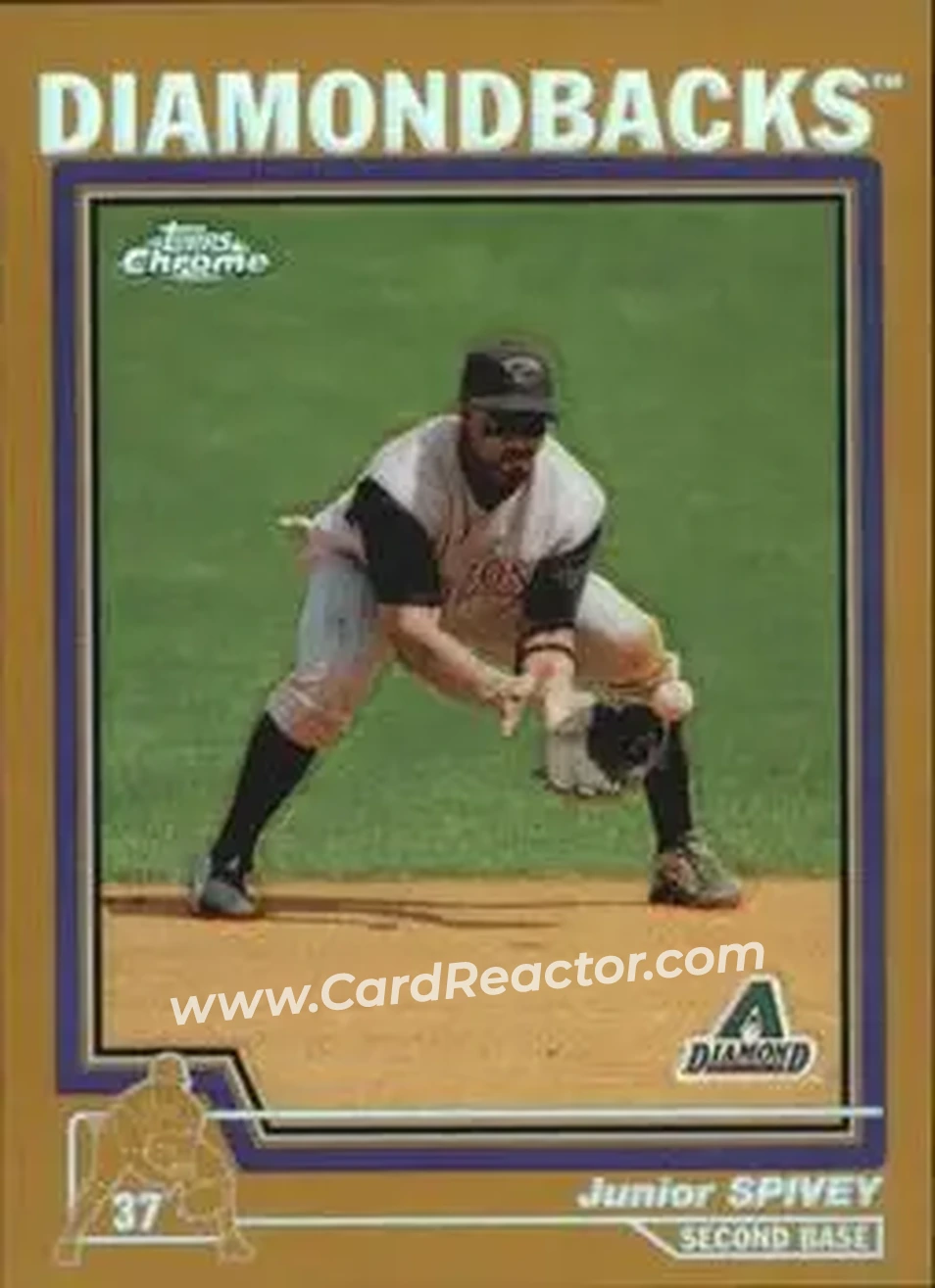 2004 Topps Chrome - Gold Refractors #14 - Junior Spivey - Arizona Diamondbacks - Front