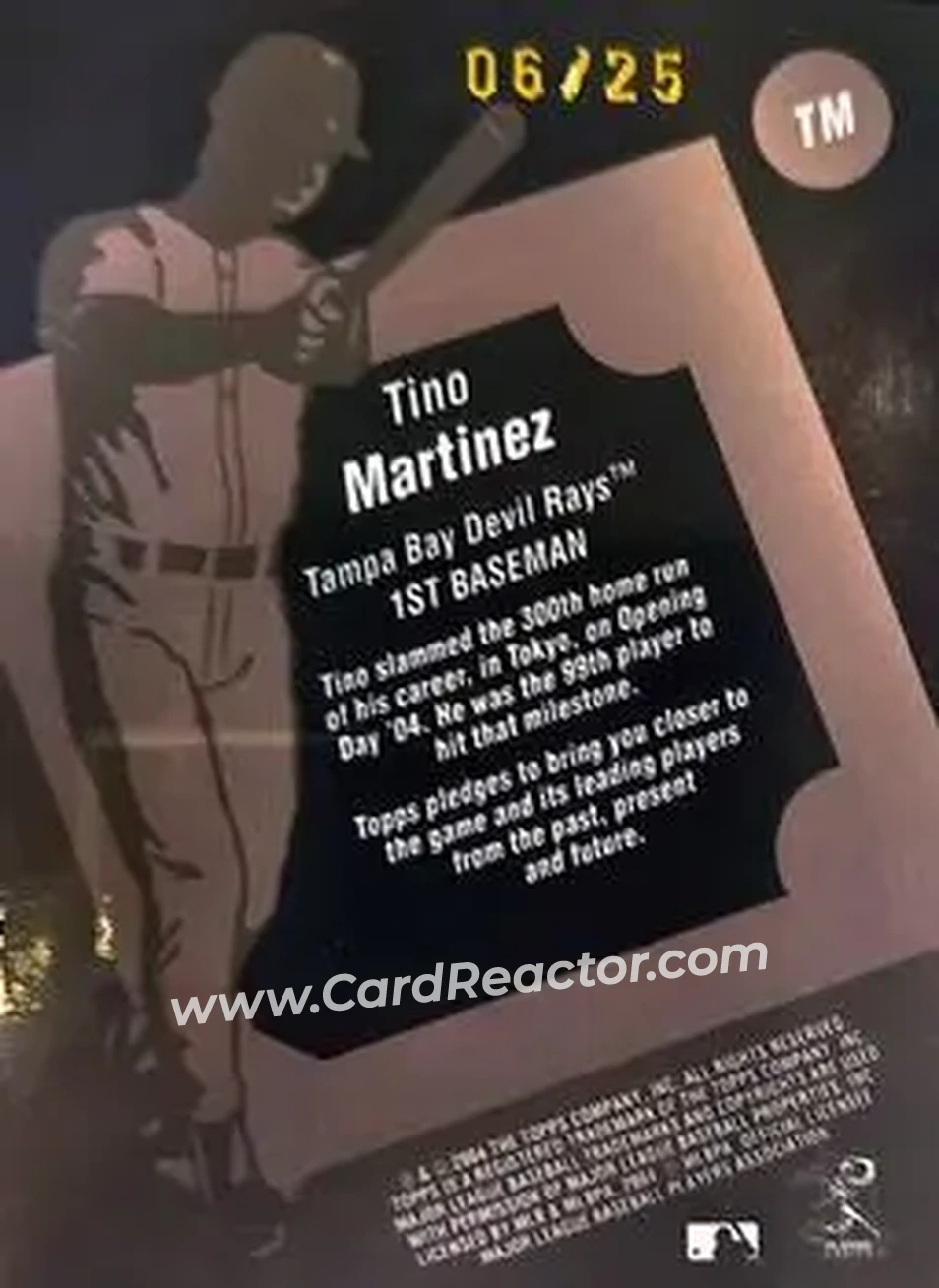 2004 Topps Clubhouse Collection - Black Relics #TM - Tino Martinez - Tampa Bay Devil Rays - Back
