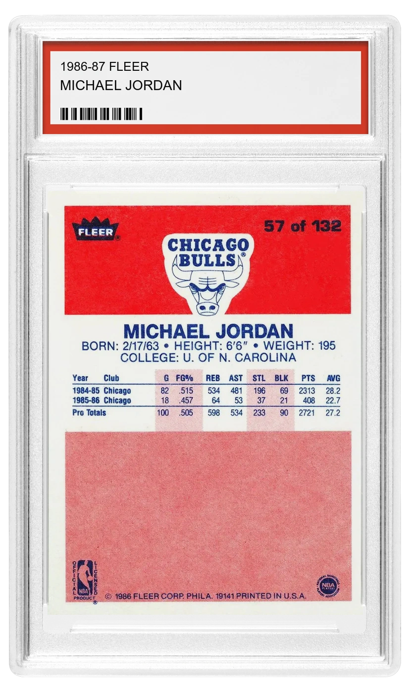 Retro di Michael Jordan