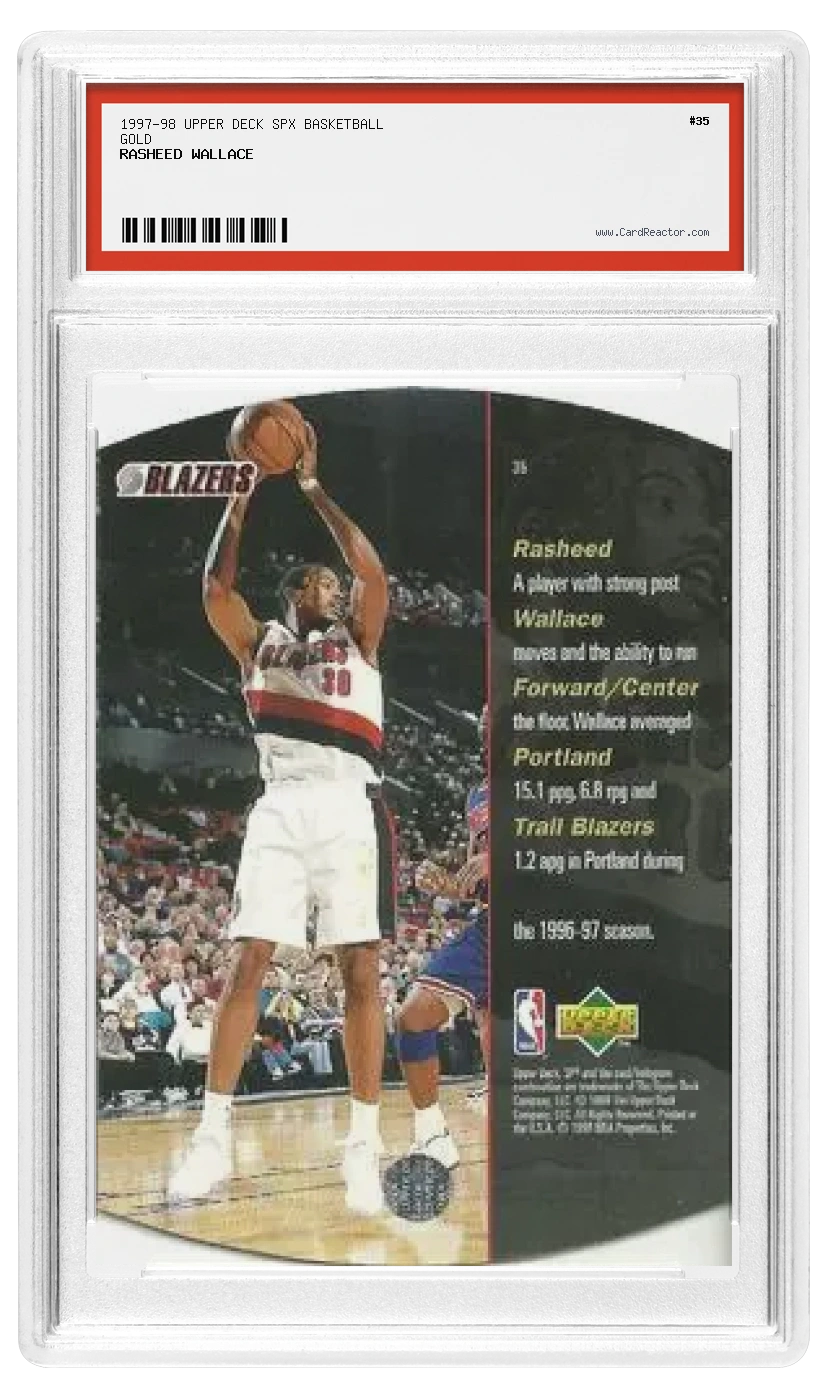Rasheed Wallace Rückseite