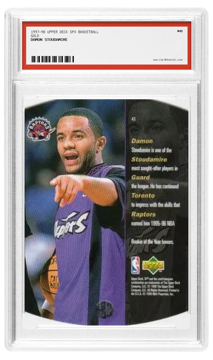 Damon Stoudamire back