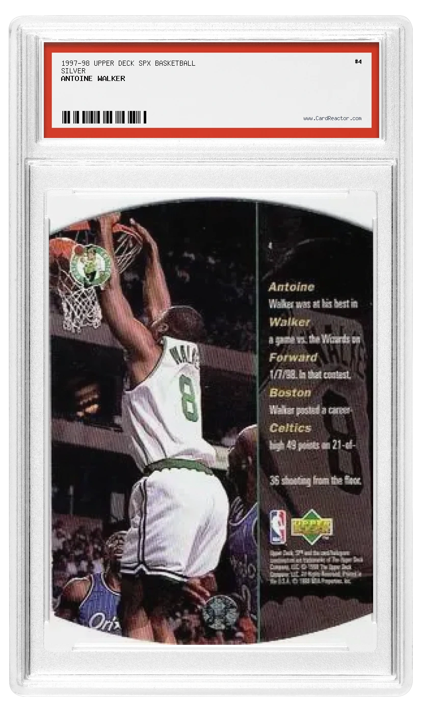 Antoine Walker Rückseite