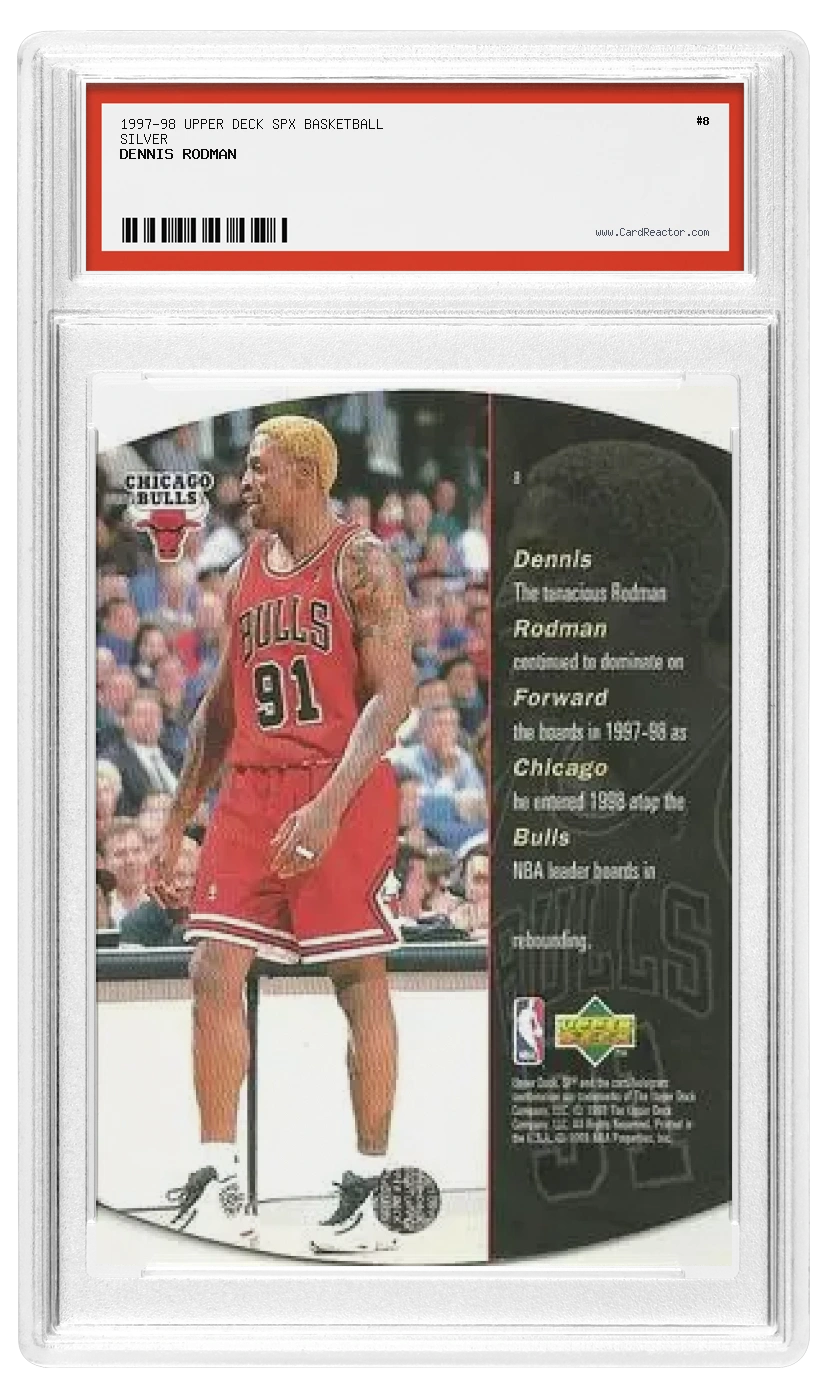 Retro di Dennis Rodman