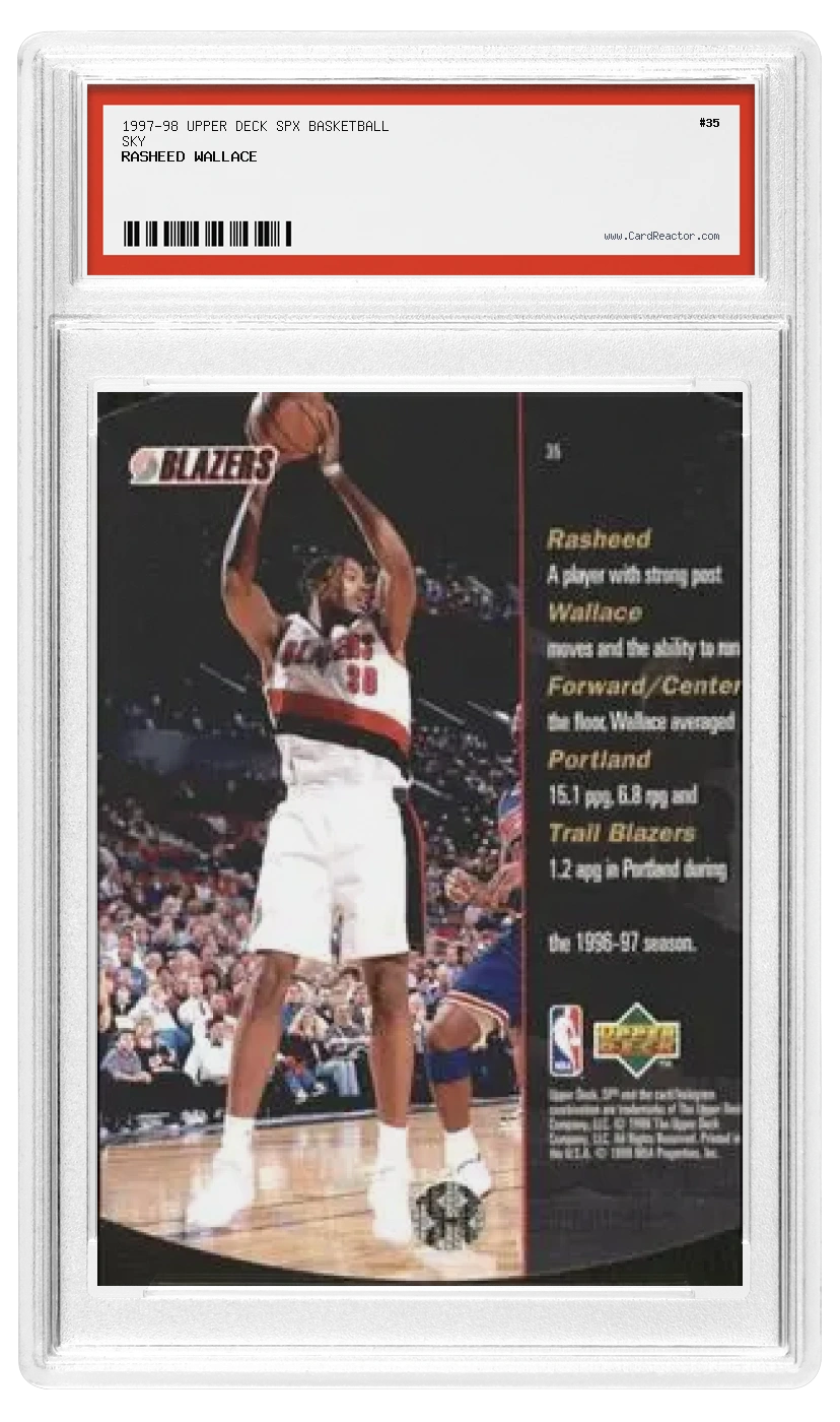 Rasheed Wallace Rückseite