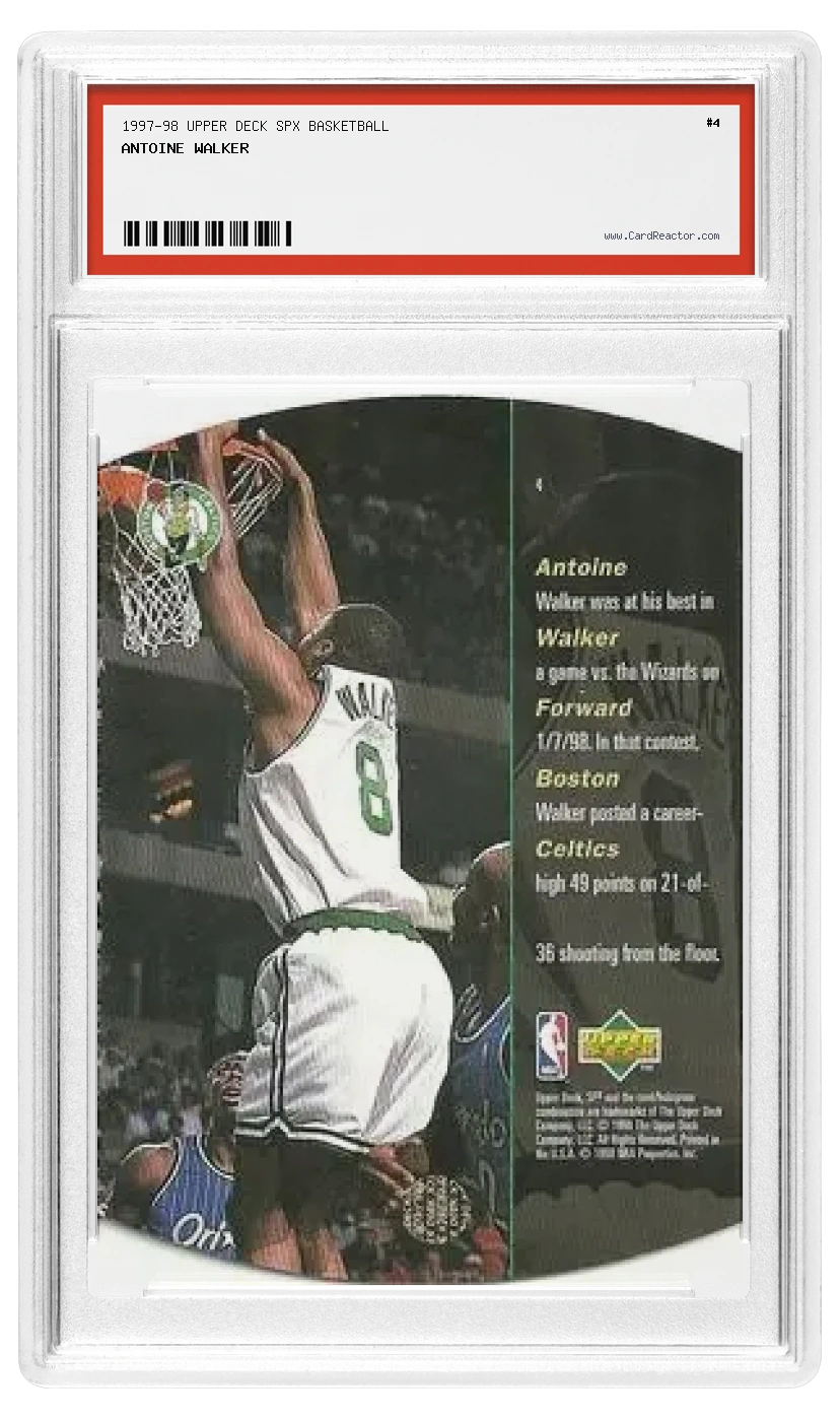 Antoine Walker Rückseite