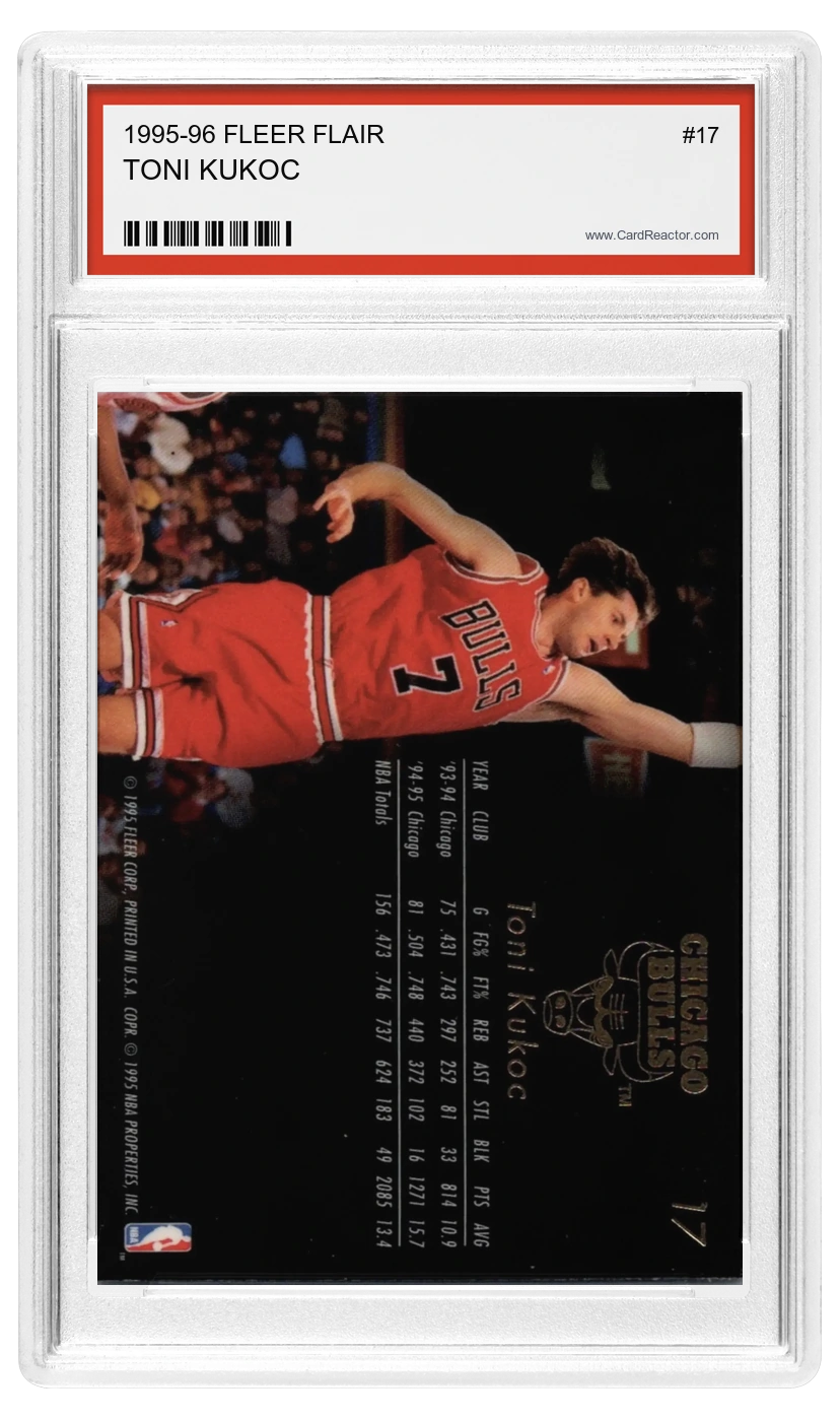 Toni Kukoc back