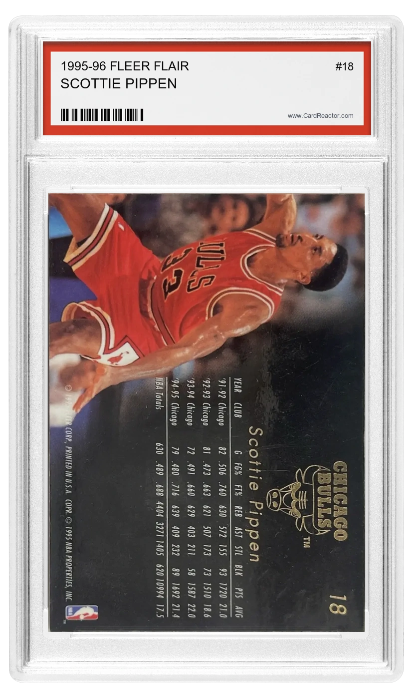 Scottie Pippen back