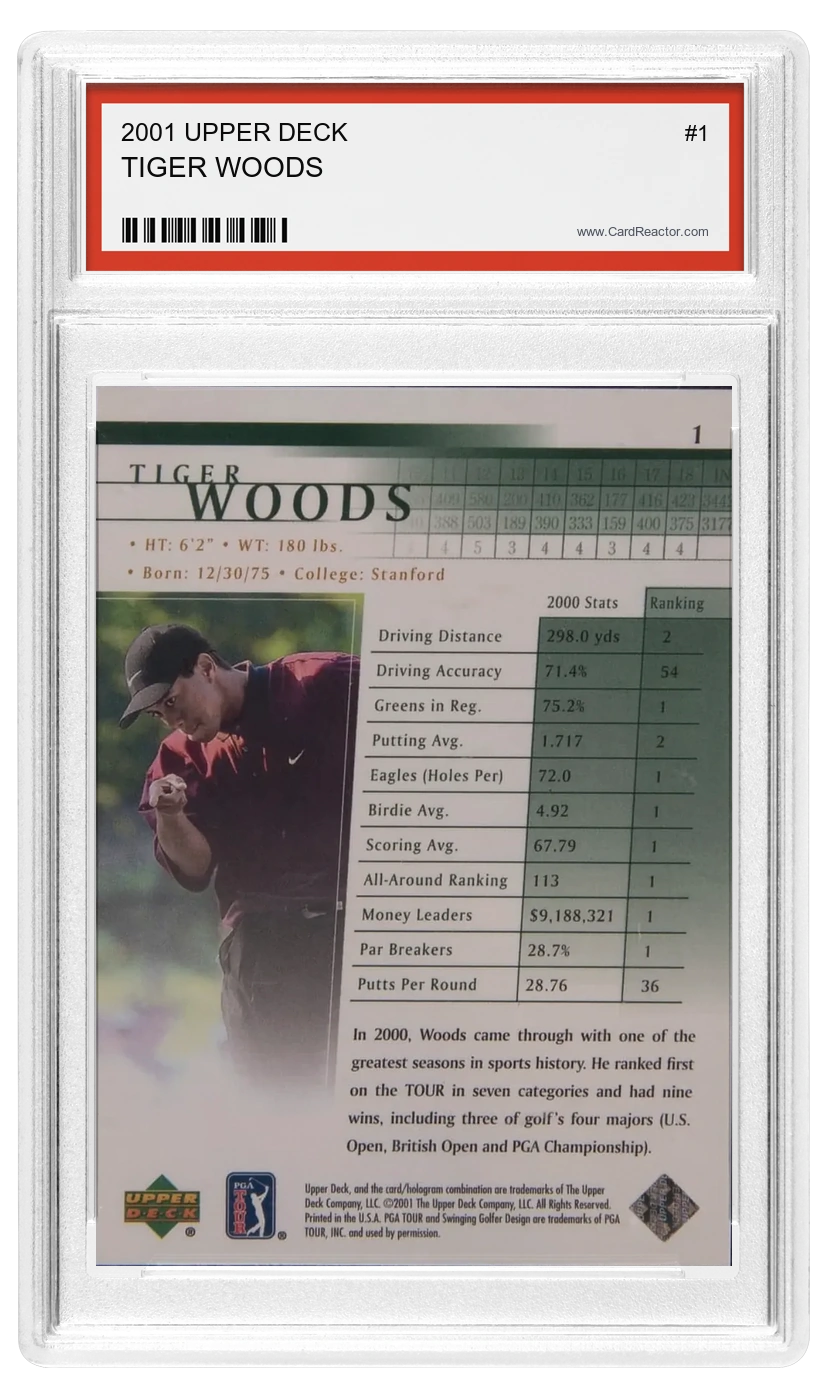 Tiger Woods back