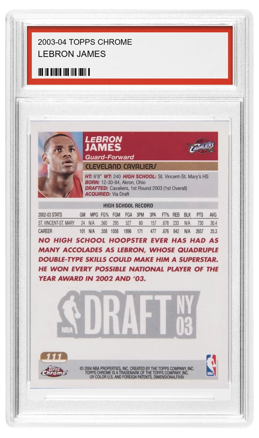 LeBron James back