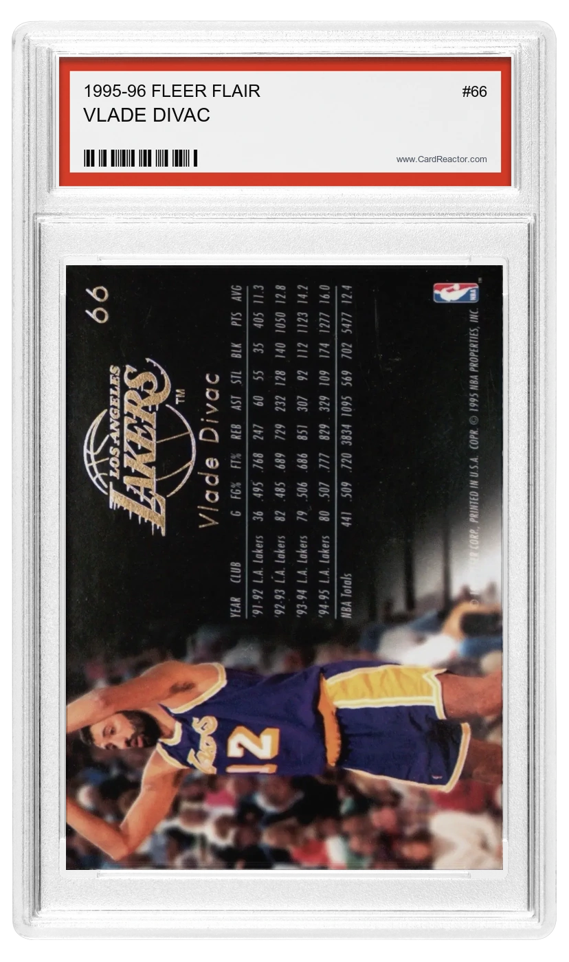Vlade Divac back