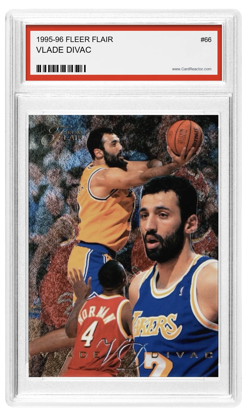 Vlade Divac front