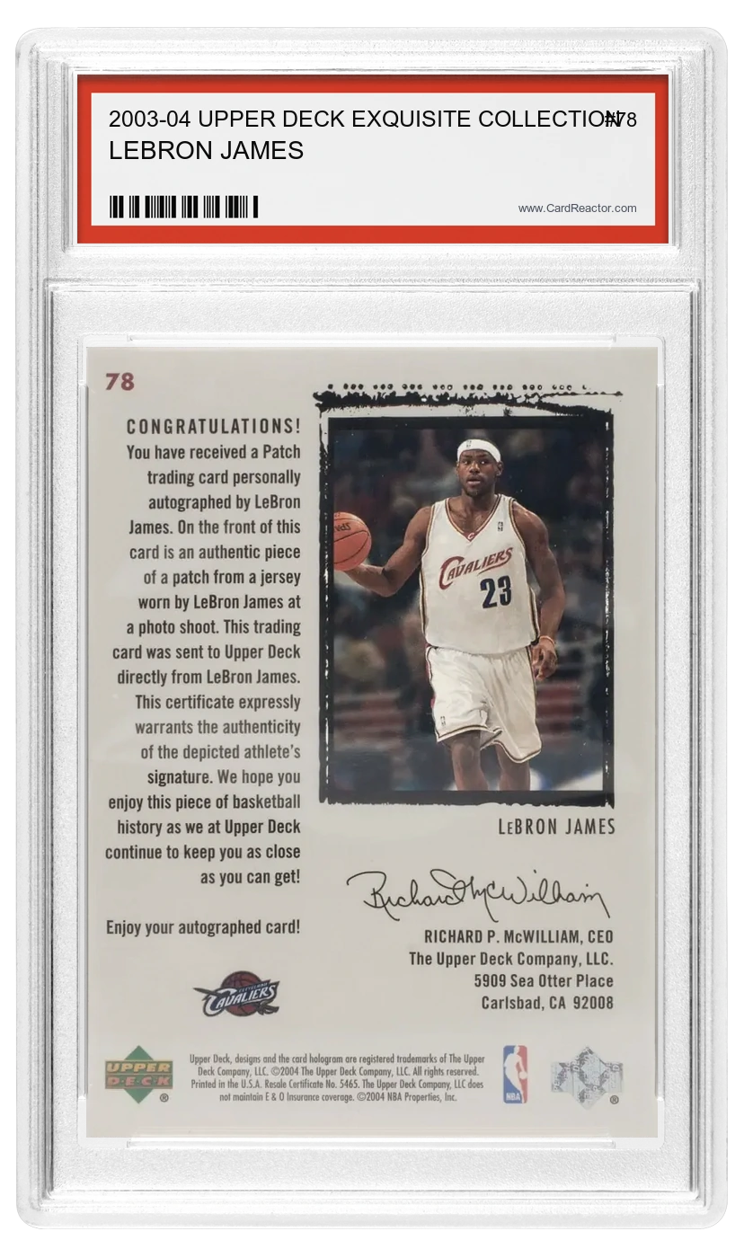 LeBron James back